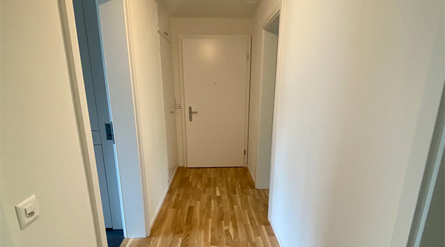 3.5 Zimmerwohnung Hofwiesenstrasse 285